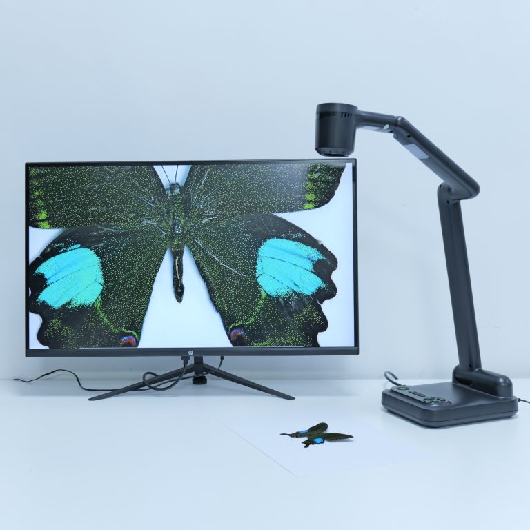 FT-F702H 4K Document Camera magnifying butterfly specimen on 4K display